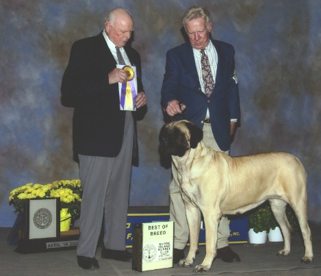 Ch Lola taking Best of Breed on April 14, 2002