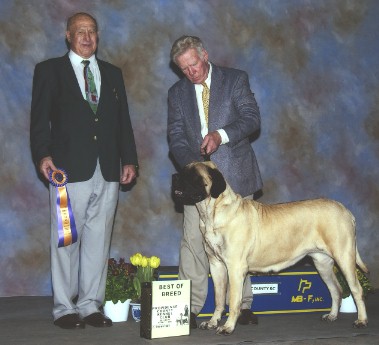 Ch Eastwind Blonde Moment taking Best of Breed, April 13, 2002